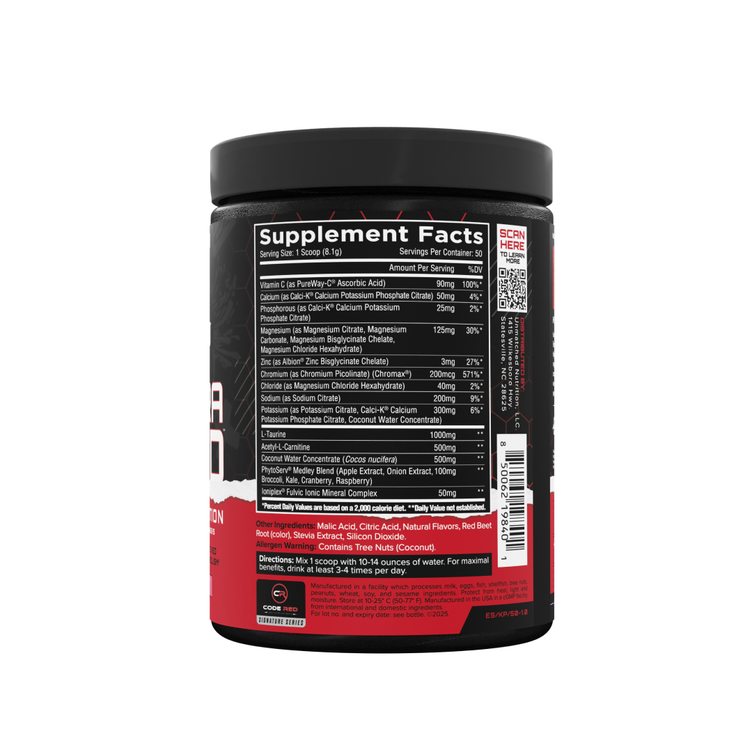 ElectraShred - Knockout Punch