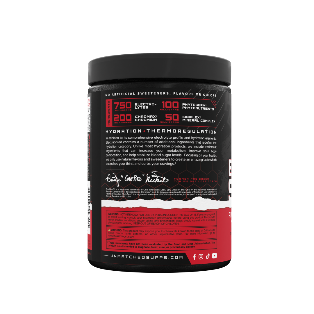 ElectraShred - Knockout Punch