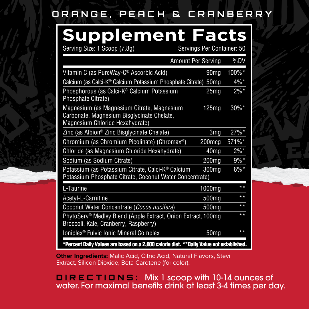 ElectraShred - Knockout Punch