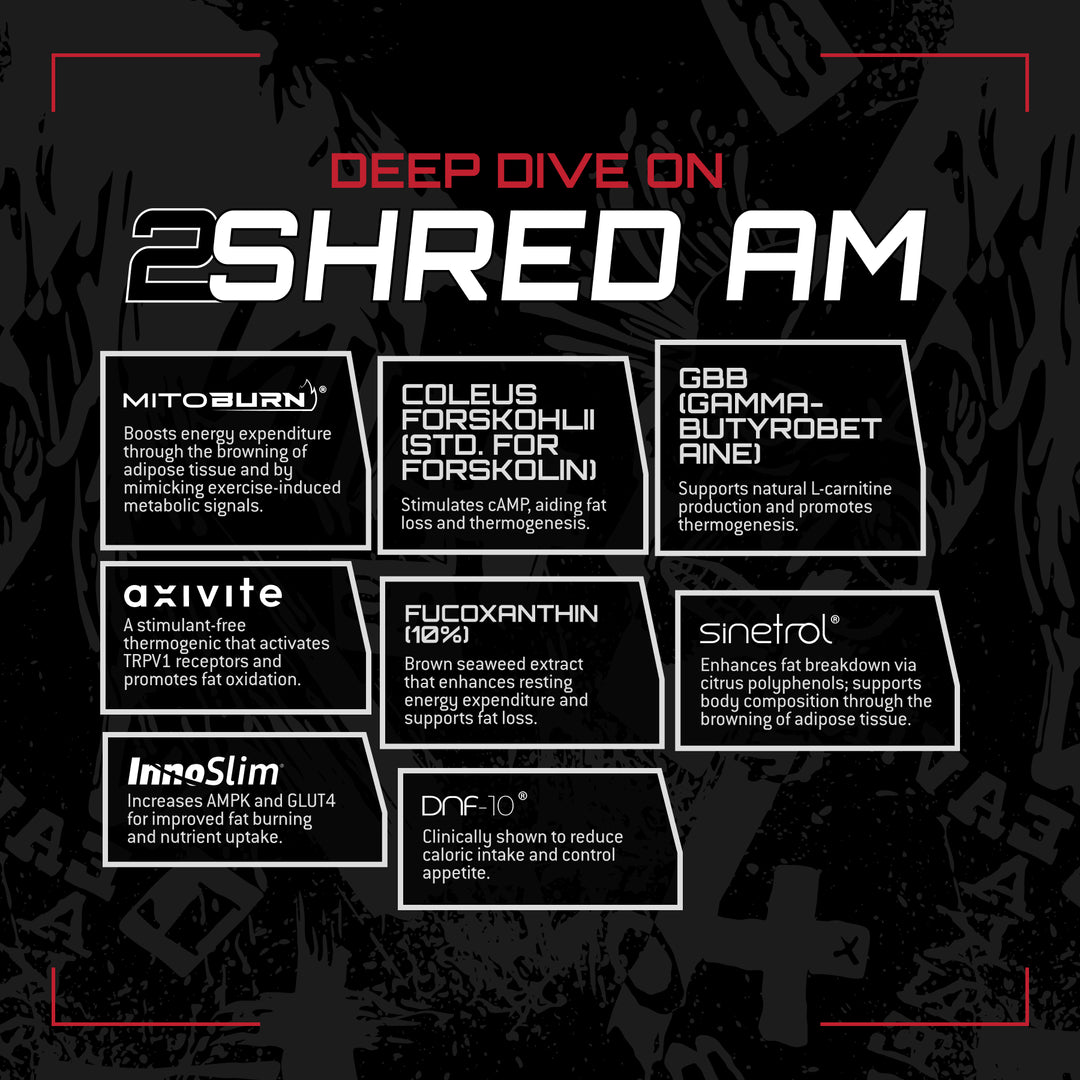 2SHRED