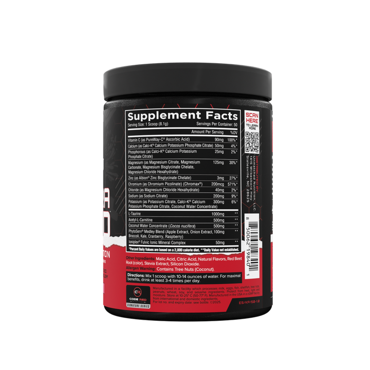 ElectraShred - Knockout Punch