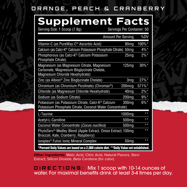 ElectraShred - Knockout Punch